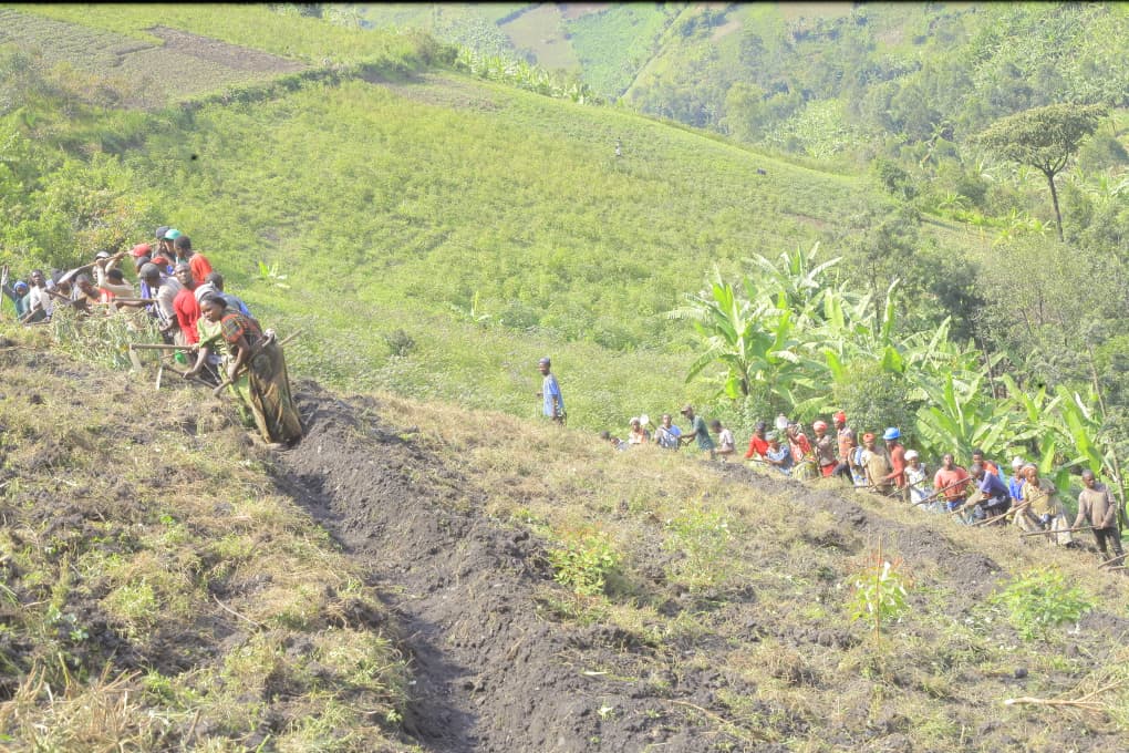 Le projet l’Agriculture, Pilier de notre économie, en Swahili « KILIMO NGUZO YA UCHUMI WETU » Kalehe poursuit son cours normal.